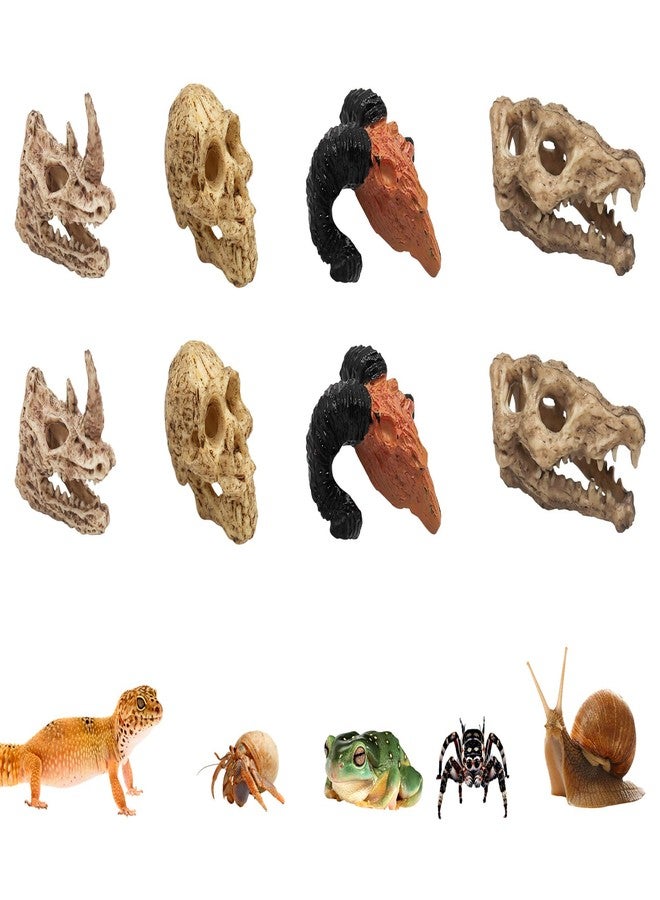 Oooct 8 Pcs Mini Animal Skull Statues - Realistic Resin Skeleton Head Decor for Reptile Habitat, Aquarium, Terrarium Tank Accessories for Bearded Dragons, Geckos, Lizards, Halloween Christmas Crafts - Image 1